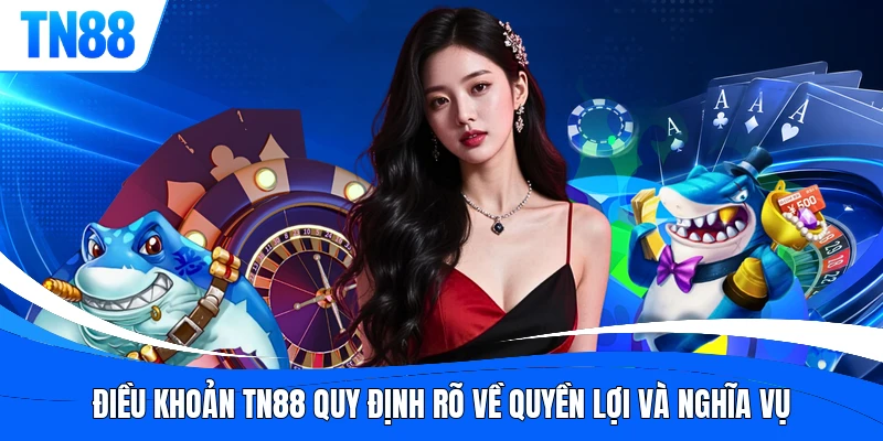 Điều khoản TN88 quy định rõ về quyền lợi và nghĩa vụ