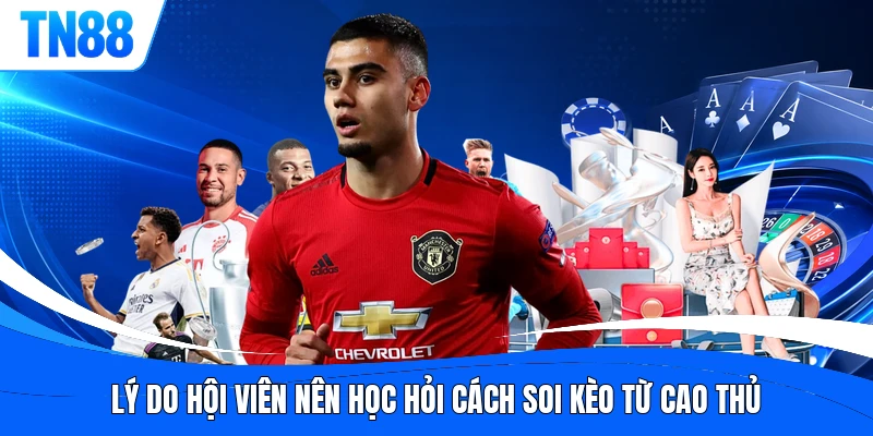 Lý do hội viên nên học hỏi cách soi kèo từ cao thủ